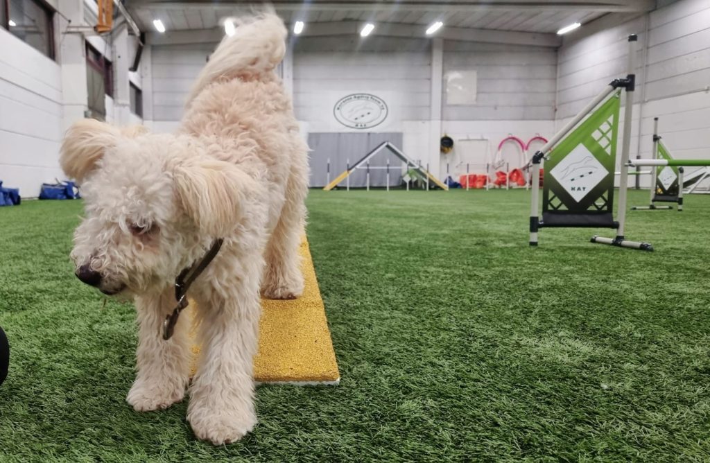 Kuva-kotisivulle-treeni1